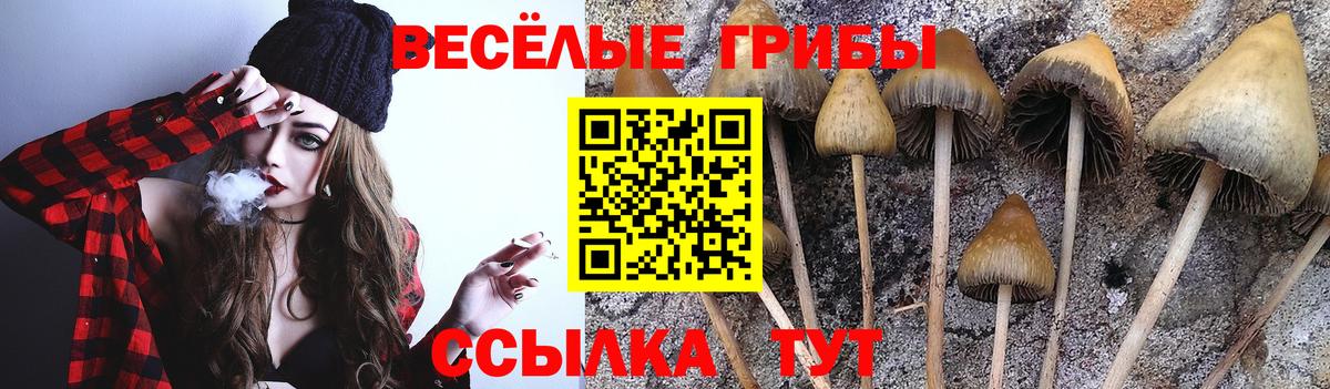 наркошоп  Галлюциногенные грибы Magic Shrooms  Вход с VPN  Псилоцибиновые грибы прущие грибы  Бийск 