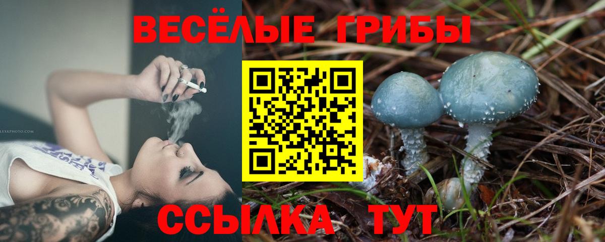 Псилоцибиновые грибы мухоморы Бийск